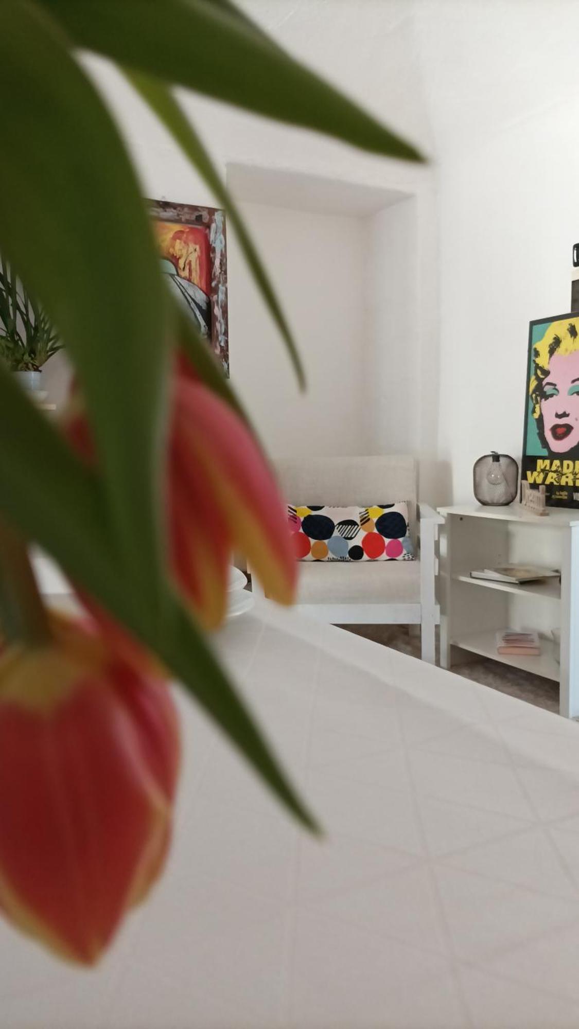 Quick Home - Interno 45 Биелла Номер фото